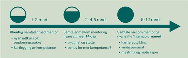 Illustrasjon av stegene og innhold i mentorprogrammet