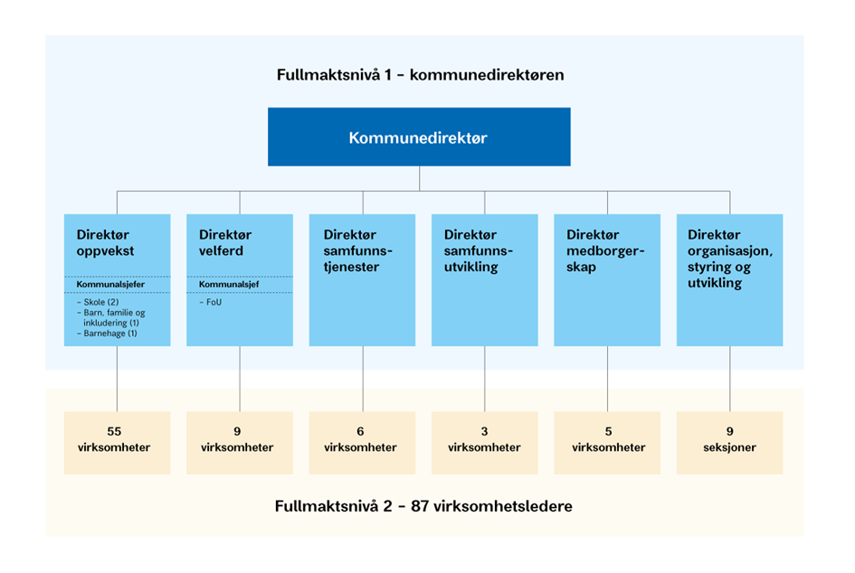 fullmaktsnivå illustrasjon